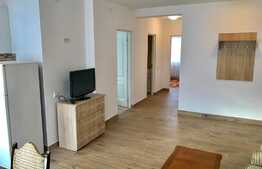 Apartament 3 camere, pet friendly, zona Teilor!