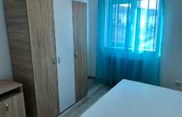 Apartament 3 camere, pet friendly, zona Teilor!