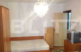 Apartament decomandat cu 2 camere, cheltuieli reduse, zona Gruia