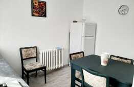 Apartament 2 camere decomandate, 48 mp, pet friendly