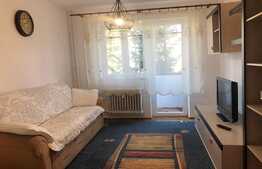 Apartament 2 camere decomandate, 48 mp, pet friendly