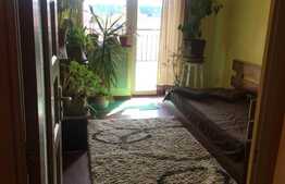 Apartament 3 camere, 2 bai, 2 nivele, 72 mp, garaj, zona Muzeul Apei!