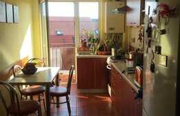 Apartament 3 camere, 2 bai, 2 nivele, 72 mp, garaj, zona Muzeul Apei!