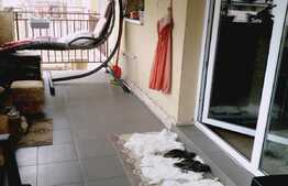 2 camere, cochet, la cheie, 56 mp, terasa 12 mp, zona Porii