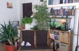 3 camere, decomandat, 59 mp., zona Terra