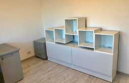 Spatiu birouri in zona Vivo, 4 camere, 2 bai, 80 mp, Pet Friendly!