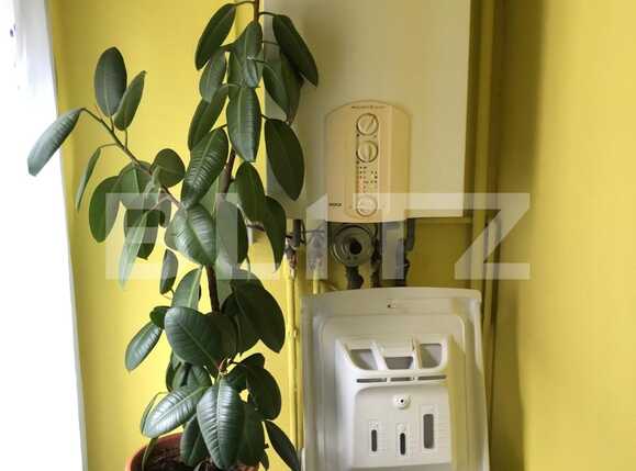 Casa de vânzare 3 camere Plopilor - 46634CV | BLITZ Cluj-Napoca | Poza5