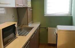 Apartament 1 camera, 40mp, pet friendly, zona Sigma