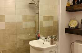 Garsoniera 30 mp, mobilata, renovata recent, zona strazii Dambovitei