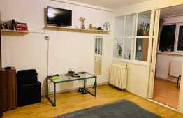 Garsoniera 30 mp, mobilata, renovata recent, zona strazii Dambovitei