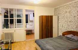 Garsoniera 30 mp, mobilata, renovata recent, zona strazii Dambovitei