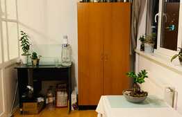 Garsoniera 30 mp, mobilata, renovata recent, zona strazii Dambovitei