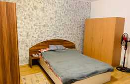 Garsoniera 30 mp, mobilata, renovata recent, zona strazii Dambovitei