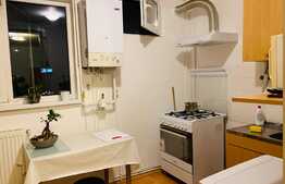 Garsoniera 30 mp, mobilata, renovata recent, zona strazii Dambovitei