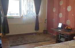 Garsoniera de vanzare, 28 mp, zona Transilvania Logistic