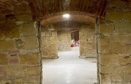 Spatiu comercial/alimentatie publica, 540 mp, curte de 60 mp cu terasa