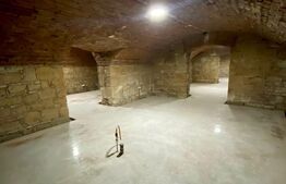 Spatiu comercial/alimentatie publica, 540 mp, curte de 60 mp cu terasa