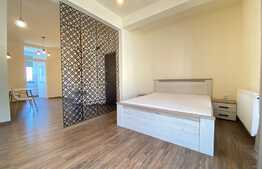 Apartament 1 camera, decomandat, 45 mp, parcare, zona strazii Plevnei