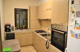 Apartament 2 camere decomandat, Pet Friendly, zona Stejarului!