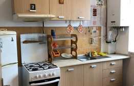 De vanzare, apartament 1 camera cu nisa de dormit, 43 mp utili, zona strazii Oasului