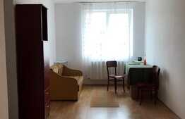 De vanzare, apartament 1 camera cu nisa de dormit, 43 mp utili, zona strazii Oasului