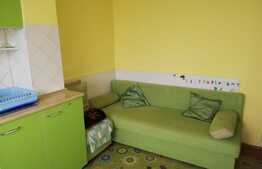 Apartament 1 camera, 40 mp, zona Stadion CFR