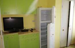 Apartament 1 camera, 40 mp, zona Stadion CFR