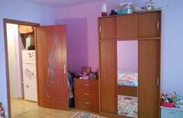 Garsoniera 30mp, Aleea Detunata, renovata recent