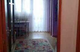 Garsoniera 30mp, Aleea Detunata, renovata recent