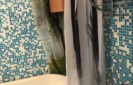 Apartament 2 camere, 50 mp, zona strazii Alexandru Vlahuta