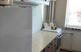 Apartament 2 camere, 50 mp, zona strazii Alexandru Vlahuta