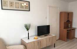 Apartament 2 camere, 50 mp, zona strazii Alexandru Vlahuta