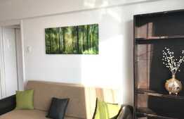 Apartament 2 camere, 50 mp, zona strazii Alexandru Vlahuta