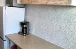 Apartament 2 camere, 50 mp, zona strazii Alexandru Vlahuta