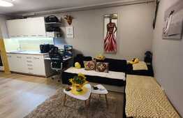 Apartament modern, AC, 2 camere, loc parcare! Zona strazii Florilor!