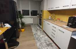 Apartament modern, AC, 2 camere, loc parcare! Zona strazii Florilor!