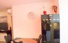 Apartament modern, AC, 2 camere, loc parcare! Zona strazii Florilor!