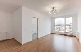 Apartament cu o camera, etaj intermediar, 42 mp utili, terasa, zona strazii Paris