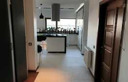 Apartament de lux, 4 camere, 119mp, garaj 44 mp, zona Vivo!