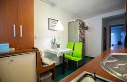 Apartament modern,  36 mp, terasa, zona strazii Frunzisului!