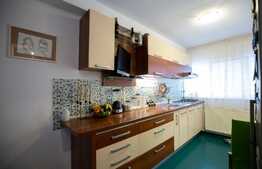 Apartament modern,  36 mp, terasa, zona strazii Frunzisului!