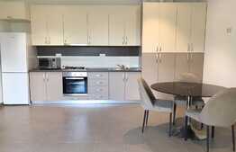  3 camere, 80mp, gradina, parcare, pet frindly, zona strazii Clinicilor