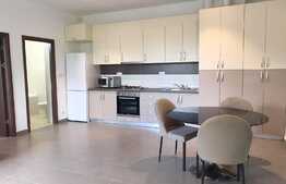  3 camere, 80mp, gradina, parcare, pet frindly, zona strazii Clinicilor