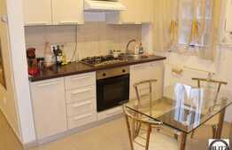 Finisaje si Dotari de Calitate la 2 camere, zona Oncos, garaj optional