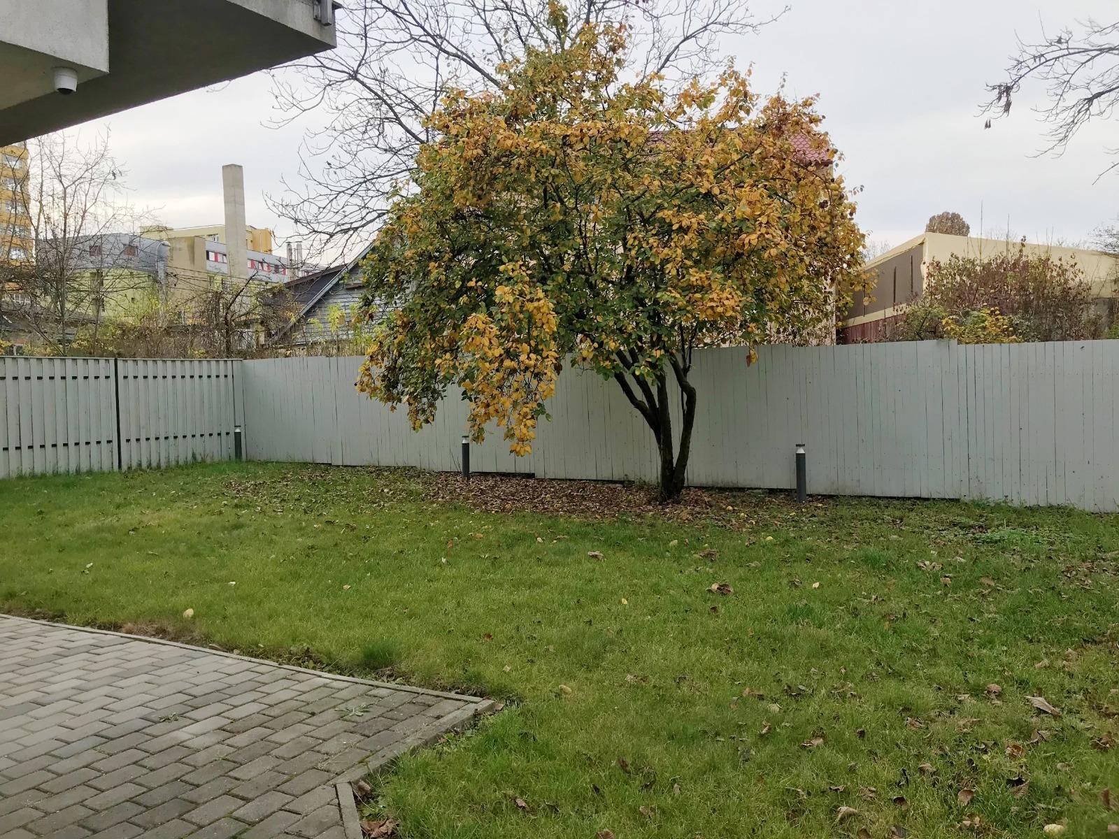 Apartament de închiriat 3 camere Central - 46980AI | BLITZ Cluj-Napoca | Poza14