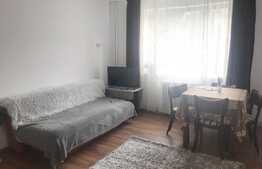 2 camere, 60mp, pet friendly, zona strazii Petuniei
