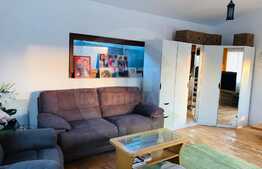 Casuta din copac de inchirat, curte comuna, 2 camere, zona strazii Donath