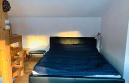 Casuta din copac de inchirat, curte comuna, 2 camere, zona strazii Donath
