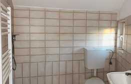 Casuta din copac de inchirat, curte comuna, 2 camere, zona strazii Donath