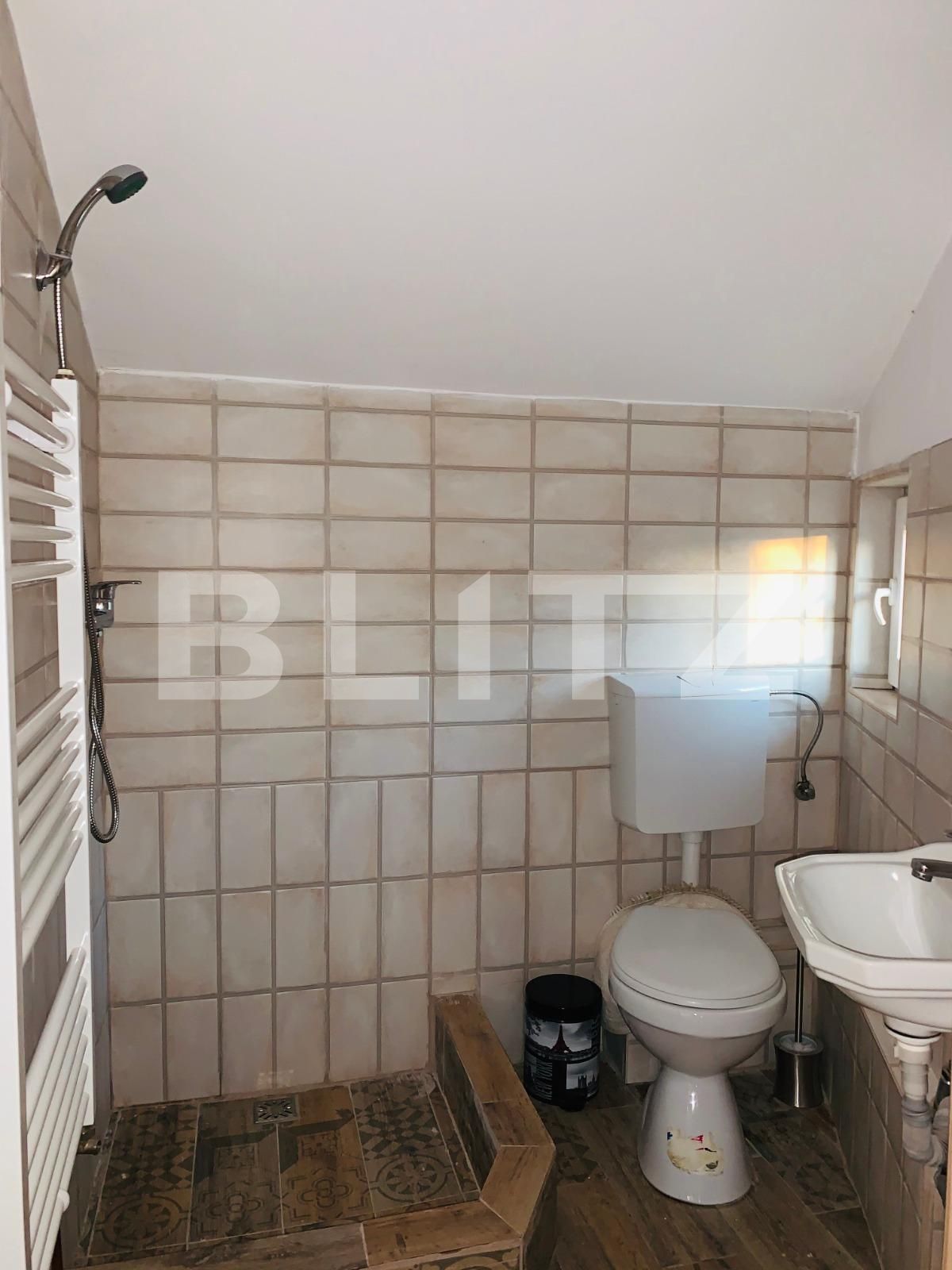Casa de închiriat 2 camere Grigorescu - 46985CI | BLITZ Cluj-Napoca | Poza18